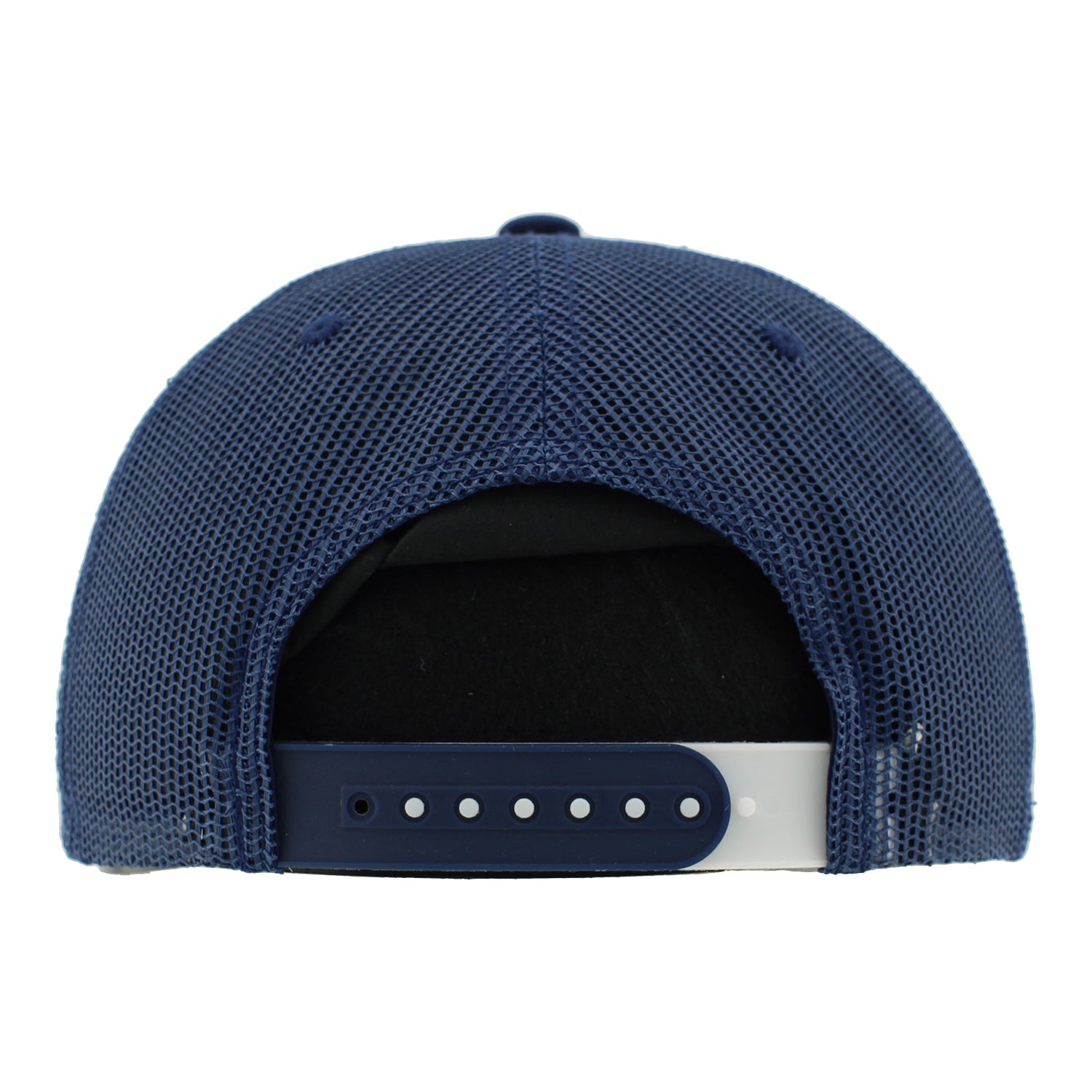 IMS Trace Flat Bill Hat - Back View